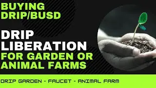 ANIMAL Farm - Buying DRIP/BUSD via Liberation and Getting Into Animal Farm or DRIP Garden