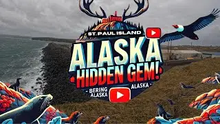 I Spent a Week on St Paul Island and Found the MOST UNEXPECTED Gem!