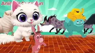 WILD Animal Stampede Caught on Camera?