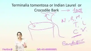 Konda Reddi tribe and Indigenous Knowledge Systems|Terminalia tomentosa UPSC Expected 2024 #cse2024