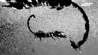 Ship Wrek feat  Datti   Animal Official Visualizer