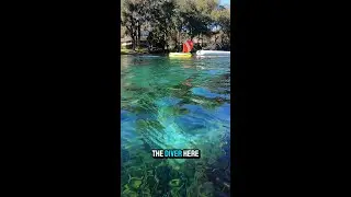 From Nemo to Nomad Mini &ndash; Dive to 15 Feet