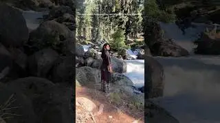 Walking through the quiet, dense forest, I hear only birds and the gentle flow of river. #pahalgam