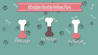 Cape Pet Vet Commercial