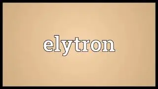 Elytron Meaning