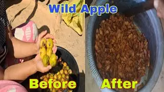 Simple home made WildApple