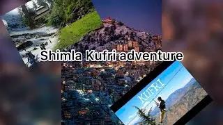 Shimla Adventure Vlog 🔥 | Ye Trip Zindagi Bhar Yaad Rahegi #shimla #vlog #family #enjoy 