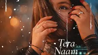Tera Naam 💔 | Sad Lofi Hindi Song | Slowed Reverb