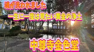 【岩手・平泉】わんこそばを堪能後、中尊寺の金色堂に言葉を失った&hellip;一生に一度は見たい黄金の浄土へ。