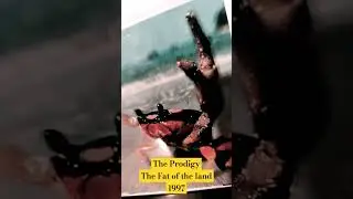 #prodigy