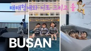 태태형제 부산여행