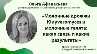 13.12 Ольга Афанасьева &laquo;Молочные дрожжи Kluyveromyces и молочные телята: связь и результаты&raquo;