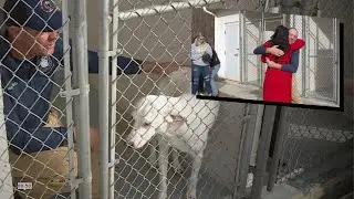 He spent Thanksgiving in a dog kennel to help rural animal shelters. CBS 6 thanked him.