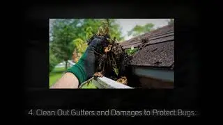 5 Best Ways to Prevent Pest Infestation