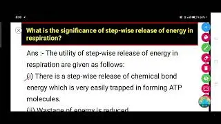 What is the significance of step-wise release of energy in respiration?