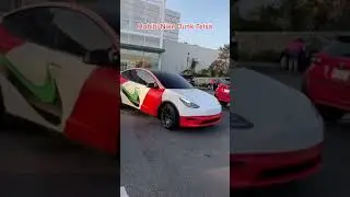 THE NIKE TESLA