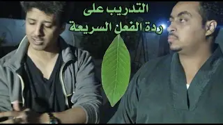 Abdullah Minor التدريب على ردة الفعل السريعة ج1