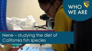 Nene Ugbah - Studying the Diet of California Fish Species