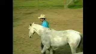 Natural Horsemanship: Teaching Your Horse at Liberty (1991)