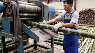 Inside a High Tech Bamboo Processing Factory You&rsquo;ve Never Seen Before