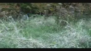 Operations Flash Fire III Part I