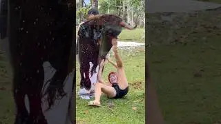 Cuidado con el toro 🐂 #funny #viral #humor #trending