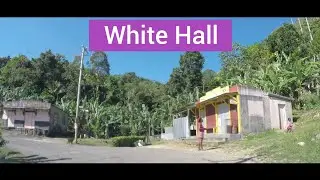 White Hall, St Ann / St Mary, Jamaica