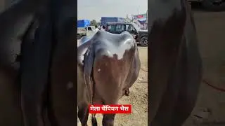 किसान की दिन रात की मेहनत क़ा परिणाम 100/100👍🙏🌹