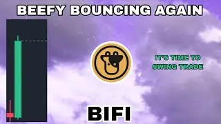 BIFI CRYPTO BOUNCING AGAIN IN 2026‼️ IT'S TIME TO SWING TRADE BEEFY CRYPTO❗ NEW SETUPS FOR BIFI COIN