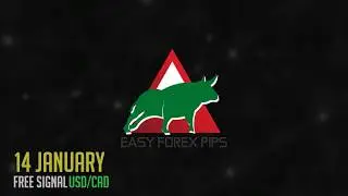 Easy Forex Pips - How to trade FOREX -  FREE signal USDCAD sell Hit TP3 +100pips  14 January💯✅
