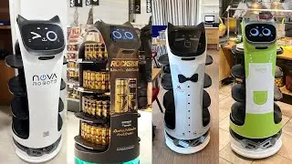 &iexcl;Tecnolog&iacute;a Sorprendente! BellaBot Conquista Restaurantes y Hoteles 🛍️🤖