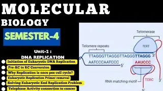 Lecture-9|Molecular Biology|Eukaryotic DNA Replication|Initiation|End Replication problem Telomerase