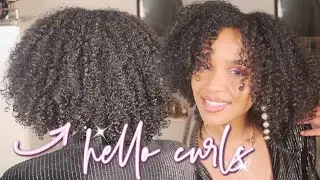 NEW * Texture ID Coils Collection 3b/3c High Porosity Hair Review | Chylissa B Chant&eacute;
