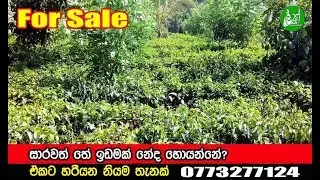 Galle - 10 Acre Estate for Sale.