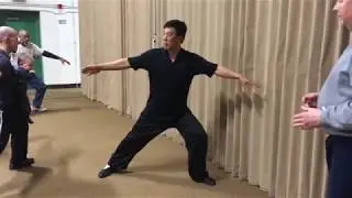 Taiji Moments with Master Chen Youze