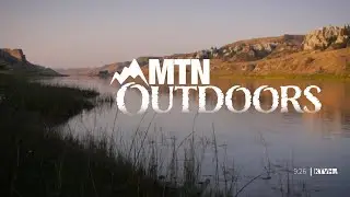 Swift Fox, fish kill and beetle taxidermy  (MTN Outdoors)