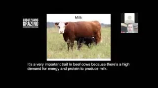Genetic Trends and Climate Considerations, Part 1, Dr. Dave Lalman
