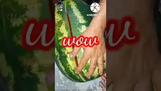 watermelon 🍉 #shorts || Umme Muhammad vlog in Bahrain