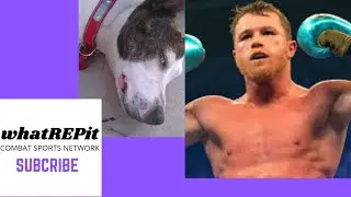 Late night @whatREPit show. Dogs.Bob Arum Top Rank King. Canelo exciting face of boxing. A finisher