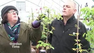 Garden Time show 6  4-7-18