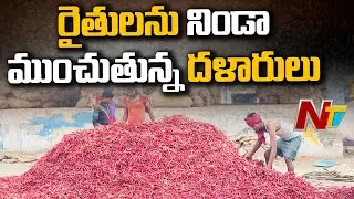 మిర్చి రైతులను నిండా ముంచుతున్న దళారులు | Gadwala Mirchi Farmers Problems | Ntv