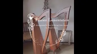 Fairies Lamentation《Irish waltz》for harp duo