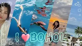 Vlog#26 보홀