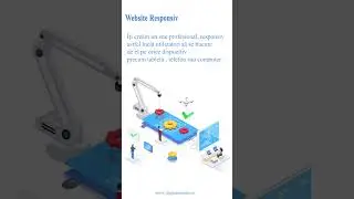Digital Options - Soluții digitale pentru business-ul tău