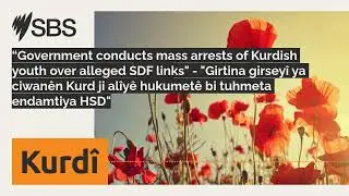 &ldquo;Government conducts mass arrests of Kurdish youth over alleged SDF links