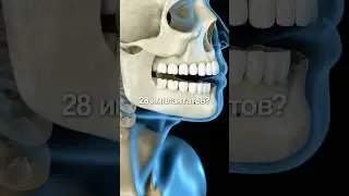 СКОЛЬКО имплантатов надо поставить, если НЕТ зубов #имплантация #всена6 #эдуардким