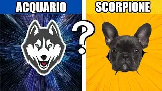 QUALE CANE SEI SECONDO IL TUO SEGNO DELLO ZODIACO