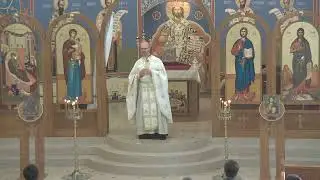 Raising of Jairus' Daughter (Luke 8:41-46) Homily by Fr. Aaron Warwick