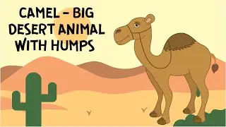 ALL ABOUT CAMELS FOR KIDS | CAMEL - BIG DESERT ANIMAL WITH HUMPS | LEARN CAMELS | DONUT KIDS TV