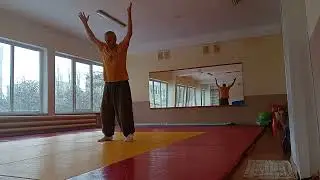 Виньяса 